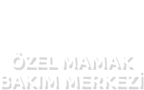 Mamak Bakım Merkezi